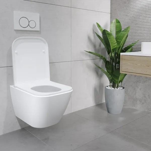 Изображение товара Унитаз подвесной Lauter Nuremberg 21811 + Breez 21GN7072BM