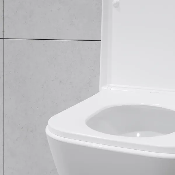 Изображение товара Унитаз подвесной Lauter Nuremberg 21811 + Breez 21GN7072BM