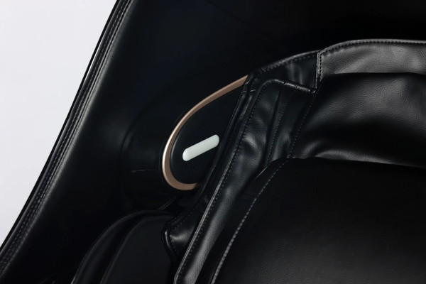 Изображение товара Массажное кресло Richter Expert Robor 131 Plus (черный)