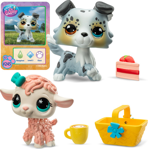 Изображение товара Игровой набор Hasbro Пара друзей Пикник у коттеджа / 00708_LPS