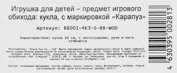 Изображение товара Кукла с аксессуарами Карапуз София / 66001-4K3-S-BB-WOD