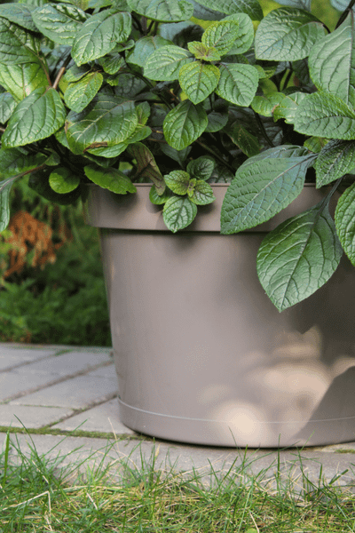 Изображение товара Кашпо Gardenplast Фикус 20 / 00251 (мокко)