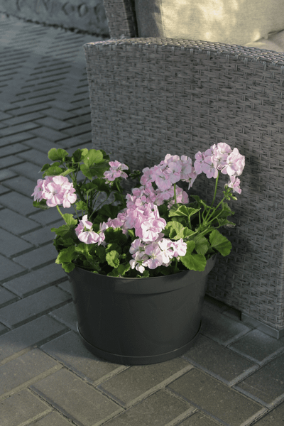 Изображение товара Кашпо Gardenplast Фикус 20 / 00252 (графитовый)