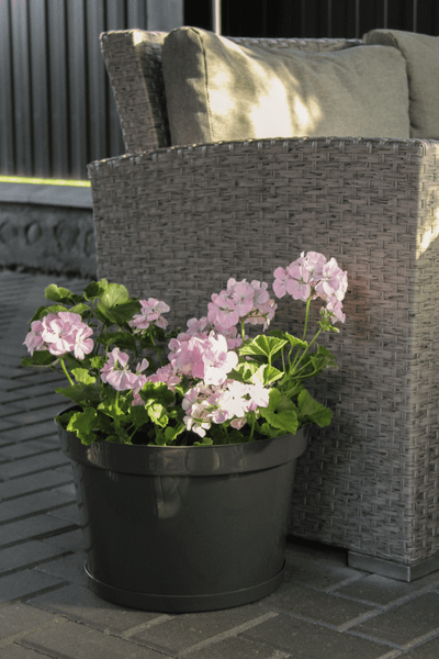 Изображение товара Кашпо Gardenplast Фикус 20 / 00252 (графитовый)