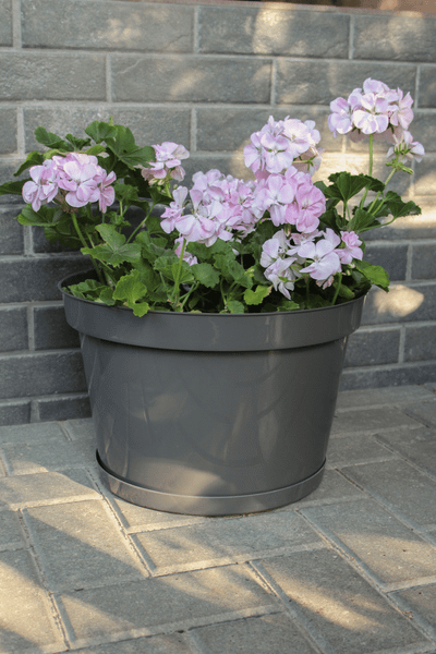 Изображение товара Кашпо Gardenplast Фикус 20 / 00252 (графитовый)