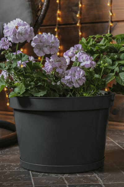 Изображение товара Кашпо Gardenplast Фикус 20 / 00252 (графитовый)