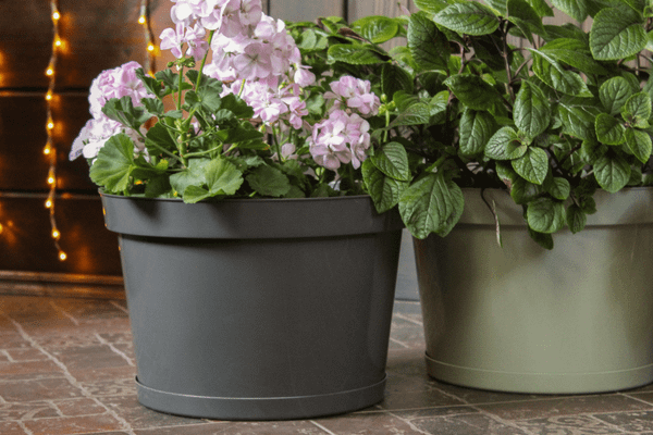 Изображение товара Кашпо Gardenplast Фикус 20 / 00252 (графитовый)