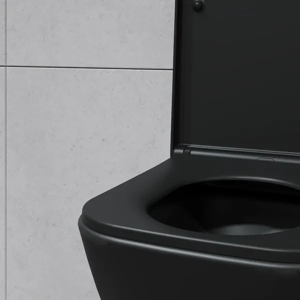 Изображение товара Унитаз подвесной с инсталляцией Lauter Nuremberg 21811B + 21901001 (черный, с кнопкой 219702E белый)