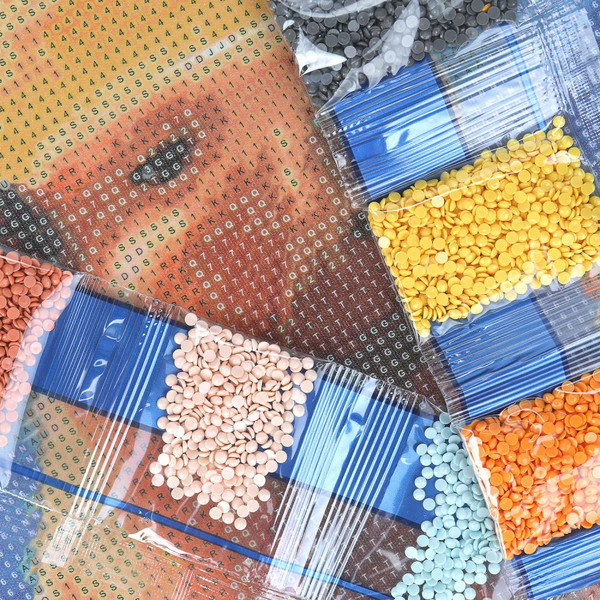 Изображение товара Набор алмазной вышивки MultiArt Капибара / AM30X40-129506