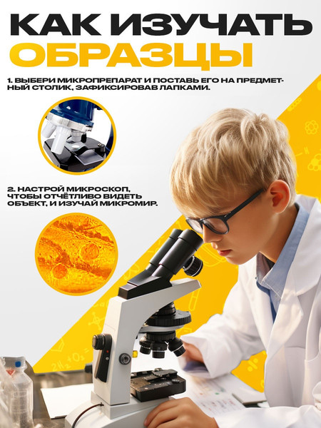 Изображение товара Набор микропрепаратов Эврики Набор микропрепаратов / 10899427