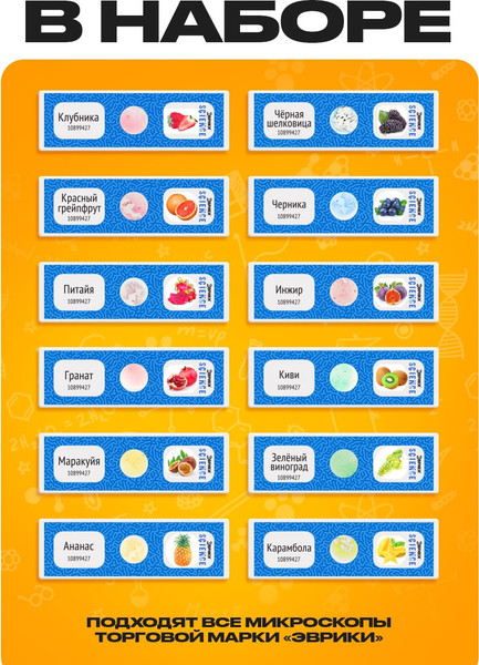 Изображение товара Набор микропрепаратов Эврики Набор микропрепаратов / 10899427