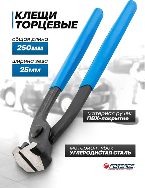 Изображение товара Клещи торцевые Forsage F-6971250 (63225)