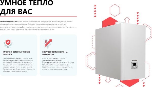 Изображение товара Газовый котел Thermex Coloss SW100 TR304W