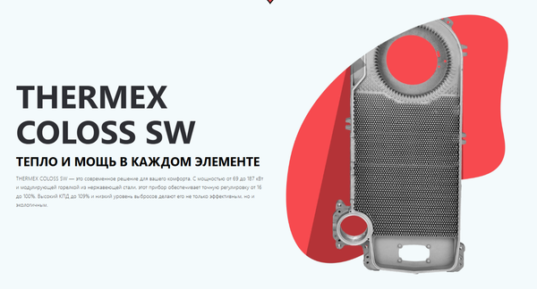 Изображение товара Газовый котел Thermex Coloss SW100 TR304W