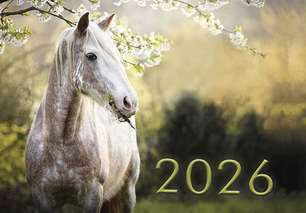 Изображение товара Календарь настенный Витебская областная типография Белая лошадь. 2026 год / 25с42