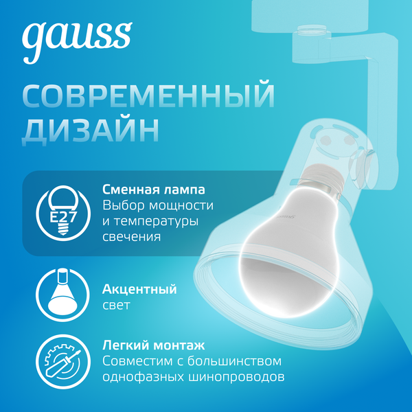 Изображение товара Трековый светильник Gauss TR014