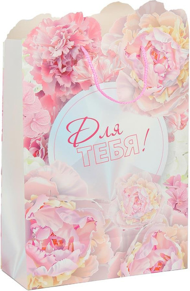 Изображение товара Пакет подарочный Чудо праздник С цветами PXLF-112923-FW