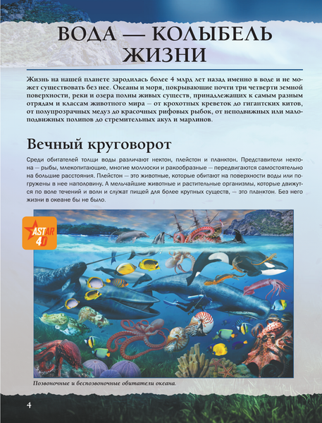 Изображение товара Энциклопедия АСТ Подводный мир (Спектор Анна 9785171821517)