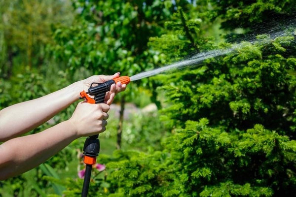 Изображение товара Распылитель для полива Инструм-Агро Жук / 011843