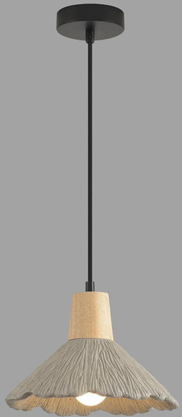 Изображение товара Потолочный светильник Lumion Eoliana 8351/1A