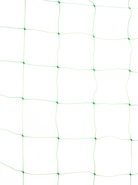 Изображение товара Сетка садовая ЧЗМ Шпалерная 150х170 2х8