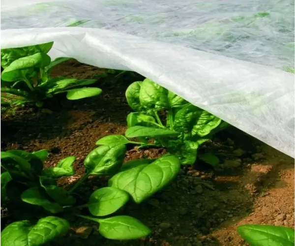 Изображение товара Укрывной материал ЧЗМ Спанбонд №30 2.1х10м