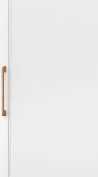 Изображение товара Шкаф MODULA Карпин INV01HP-1D-618/425/2205(02) (дуб натюрель/белый премиум)