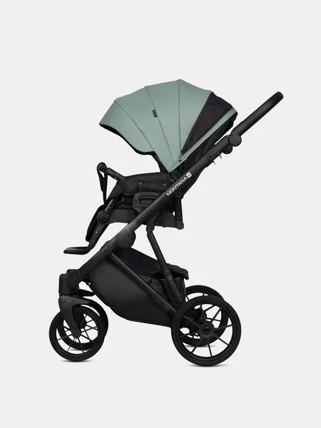 Изображение товара Детская универсальная коляска Riko Montana X Ecco 2 в 1 Basic 21 (зеленый)