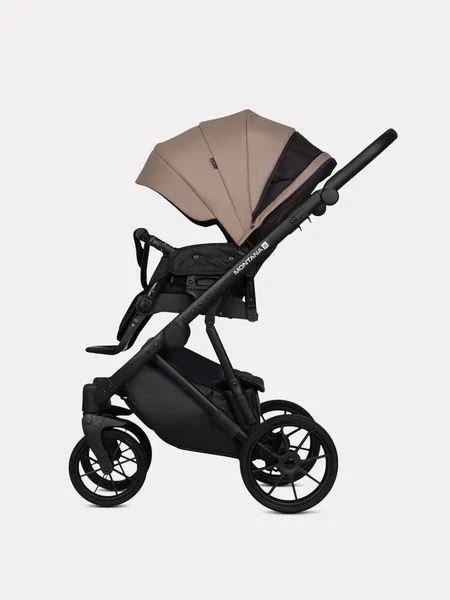 Изображение товара Детская универсальная коляска Riko Montana X Ecco 2 в 1 Basic 22 (бежевый)