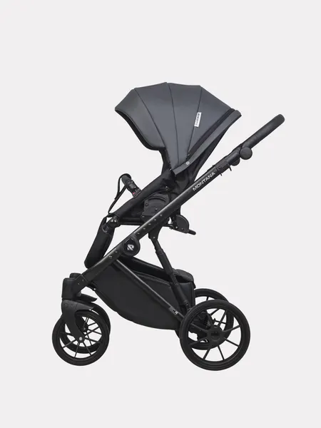 Изображение товара Детская универсальная коляска Riko Montana X Ecco 2 в 1 Basic 24 (графит)