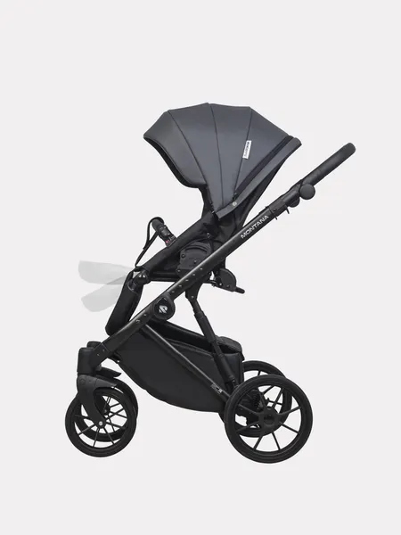 Изображение товара Детская универсальная коляска Riko Montana X Ecco 2 в 1 Basic 24 (графит)