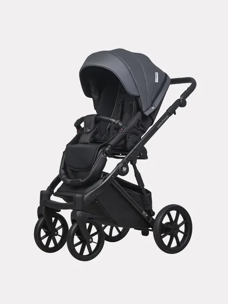 Изображение товара Детская универсальная коляска Riko Montana X Ecco 2 в 1 Basic 24 (графит)