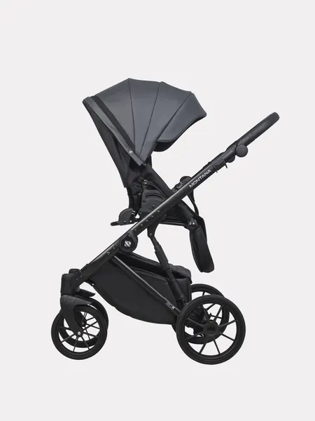 Изображение товара Детская универсальная коляска Riko Montana X Ecco 2 в 1 Basic 24 (графит)