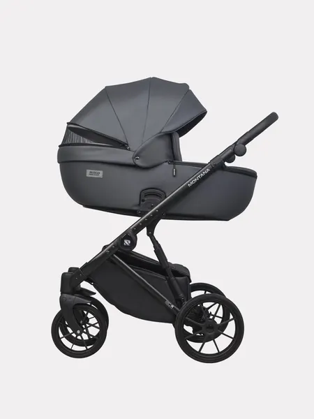 Изображение товара Детская универсальная коляска Riko Montana X Ecco 2 в 1 Basic 24 (графит)