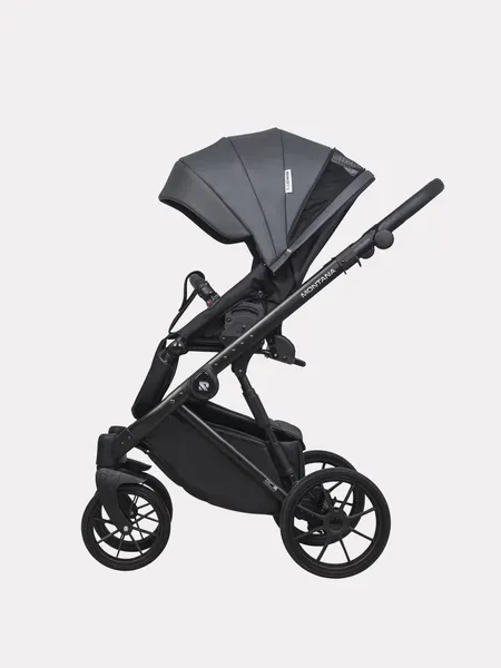 Изображение товара Детская универсальная коляска Riko Montana X Ecco 2 в 1 Basic 24 (графит)