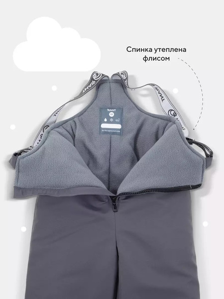 Изображение товара Полукомбинезон прогулочный детский Rant Snowline Carbon / 168/1 ( р.104)