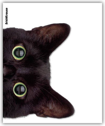 Изображение товара Набор обложек Erich Krause Hiding Cats / 61128