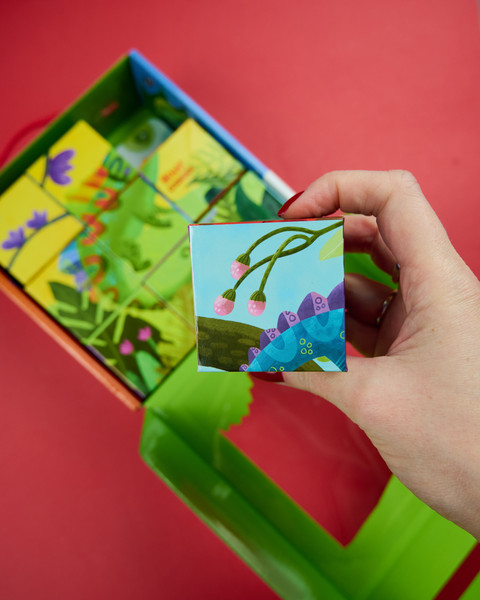 Изображение товара Развивающий игровой набор CLEVER Первые эмоции. Хамелеон Игнат. С 9 кубиками (Ульева Елена)