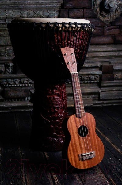 Изображение товара Укулеле Flight NUS 310 / DNT-36816