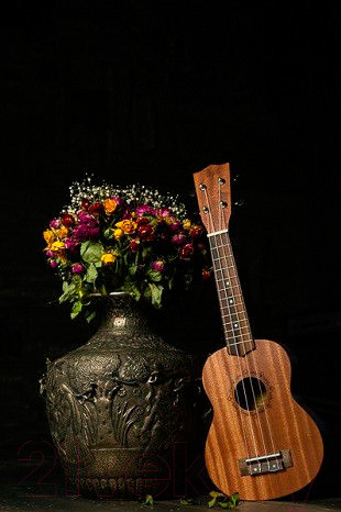 Изображение товара Укулеле Flight NUS 310 / DNT-36816