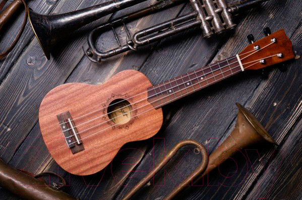 Изображение товара Укулеле Flight NUS 310 / DNT-36816