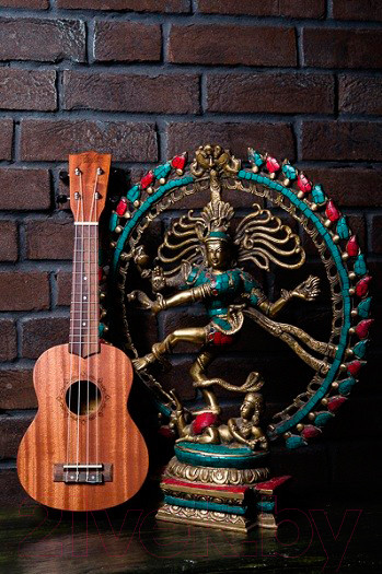 Изображение товара Укулеле Flight NUS 310 / DNT-36816