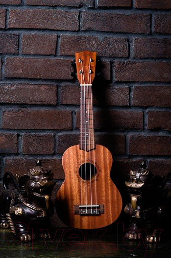 Изображение товара Укулеле Flight NUS 310 / DNT-36816