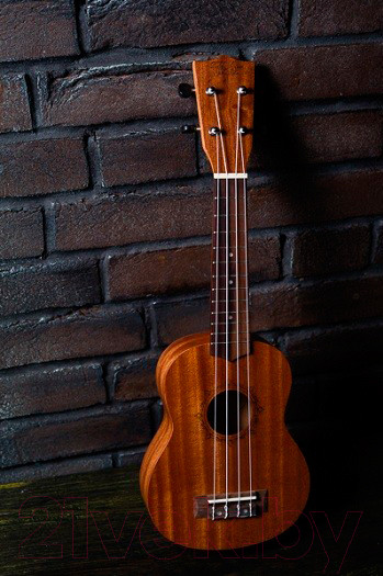 Изображение товара Укулеле Flight NUS 310 / DNT-36816