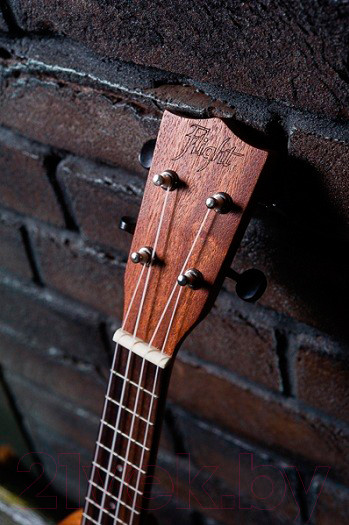 Изображение товара Укулеле Flight NUS 310 / DNT-36816