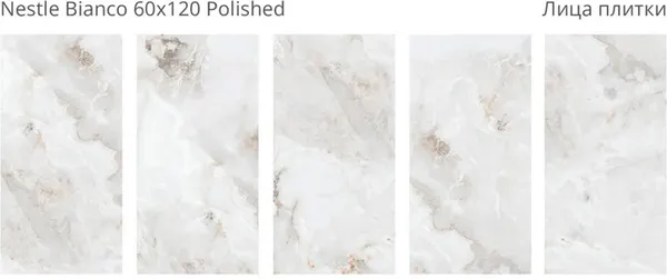 Изображение товара Плитка Staro Nestle Bianco Polished 1237299 (600x1200)