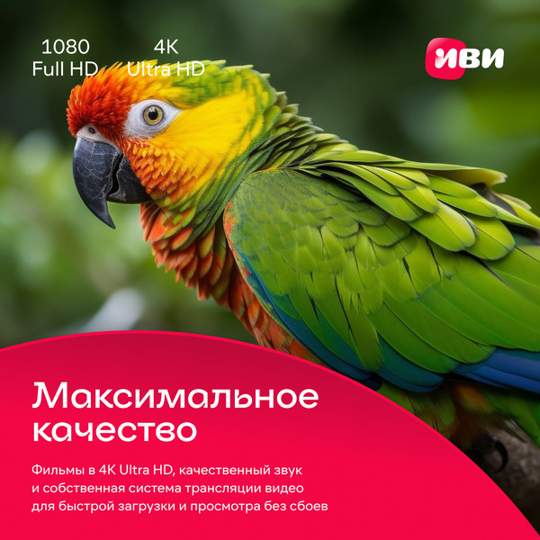 Изображение товара Сертификат доступа на подписку ivi+ 6 месяцев