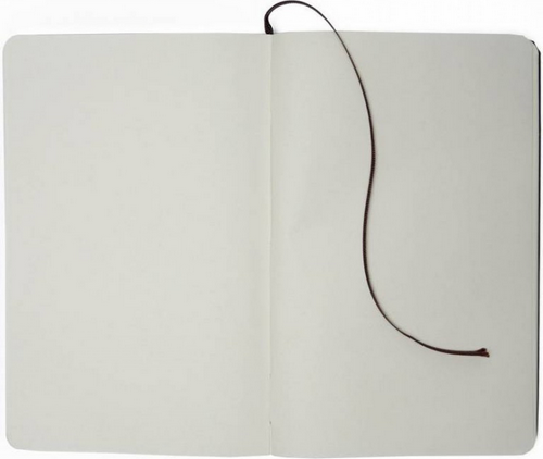 Изображение товара Записная книжка Moleskine Classic Large QP062R (красный)