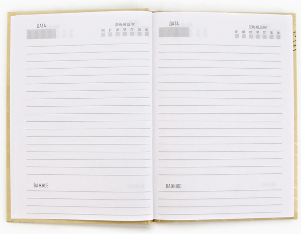 Изображение товара Набор канцелярский подарочный ArtFox С днем защитника отечества. 23 февраля / 9878477