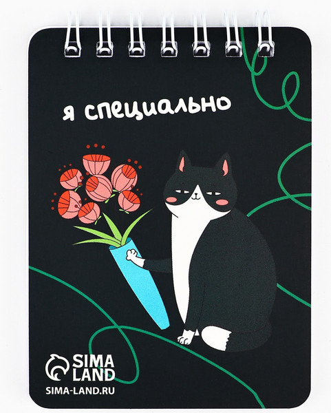 Изображение товара Набор канцелярский подарочный ArtFox Настоящая котомания / 10664155